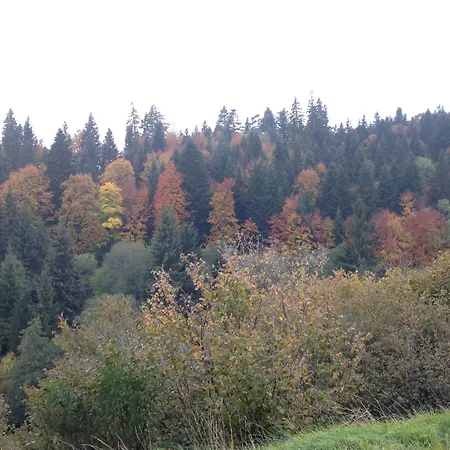 Le Beau Chambon-sur-Lac